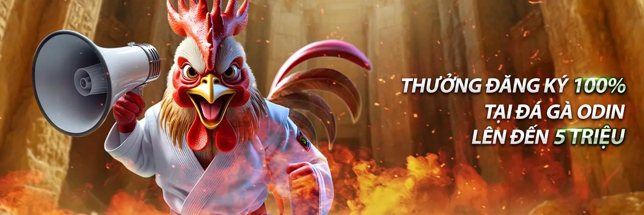 Sân đấu đá gà trực tuyến sôi động tại Zowin